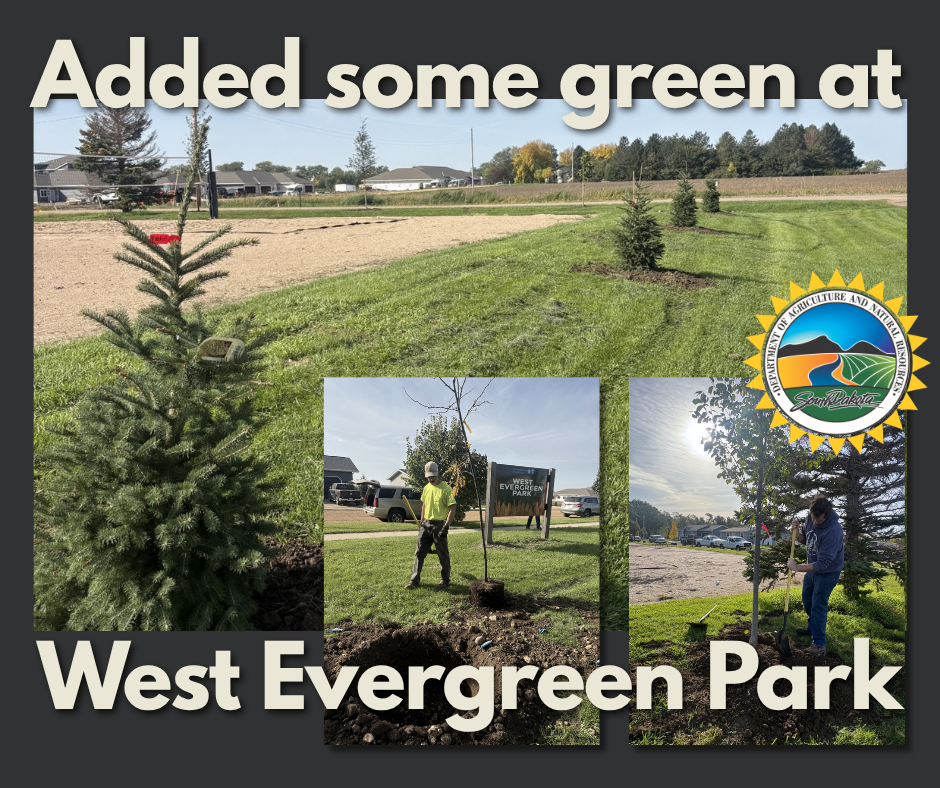 We were able to get some trees planted at our West Evergreen Park!! 20 to be exact. Our team had a lot of fun adding some green at West Evergreen.  This project was made possible in part through funding from the USDA Forest Service administered by the South Dakota Department of Agriculture and Natural Resources (DANR) Urban and Community Forestry Program.
