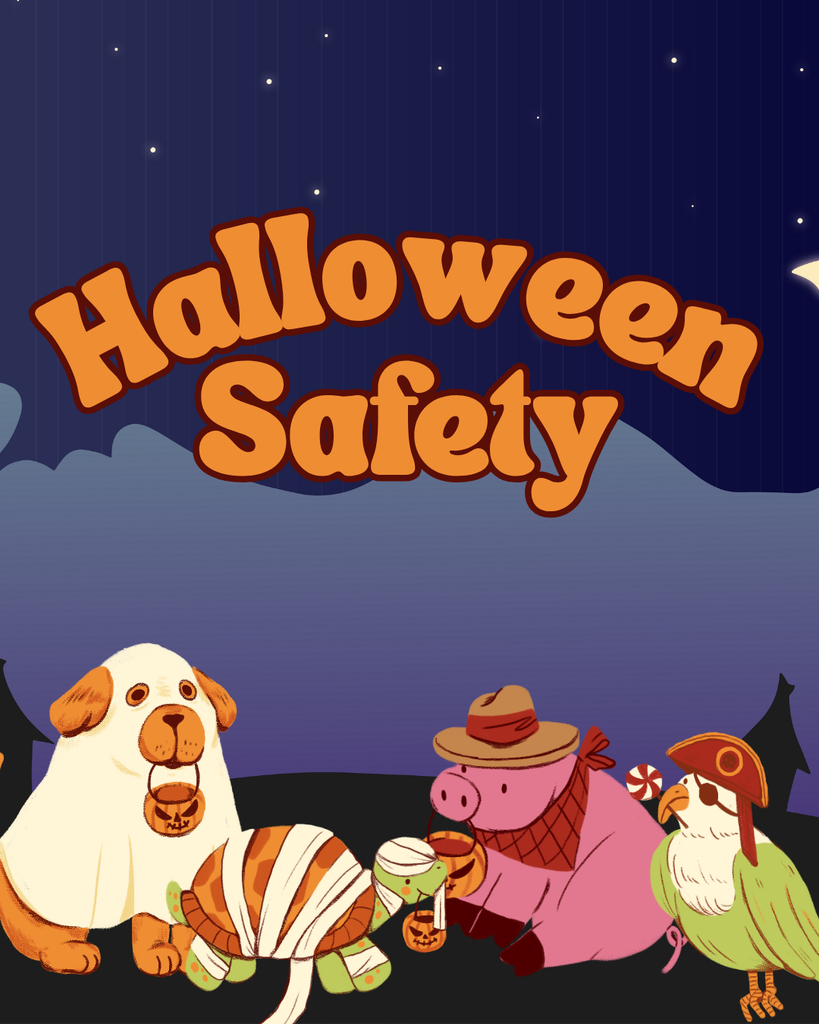 Halloween  Safety