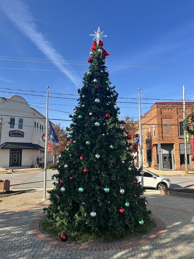 Christmas Tree decorated downtown 