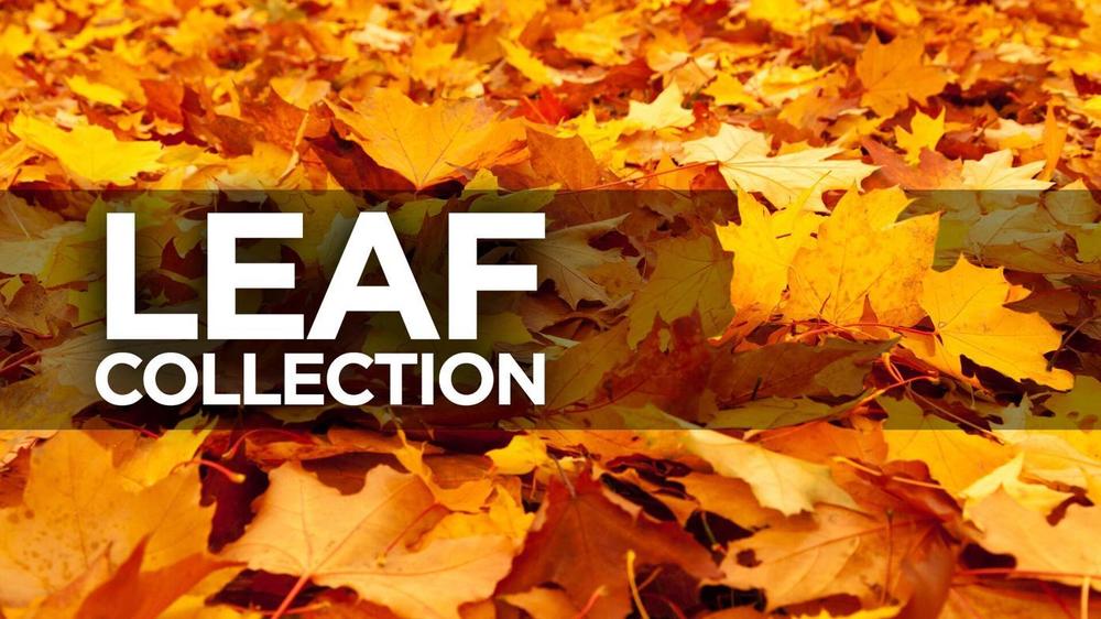 Leaf Collection letters over a pile of leaves