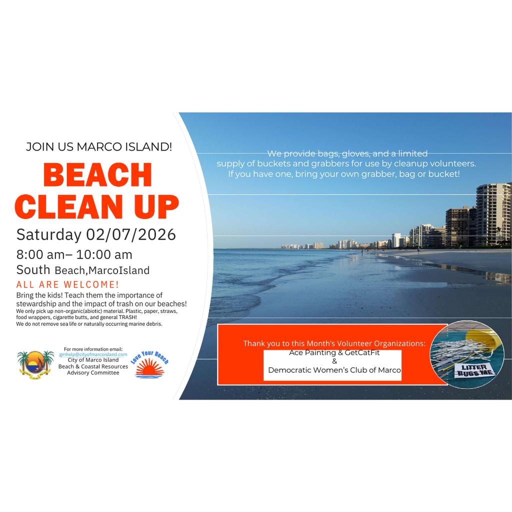 Untitled design - 2026-02-04T093353