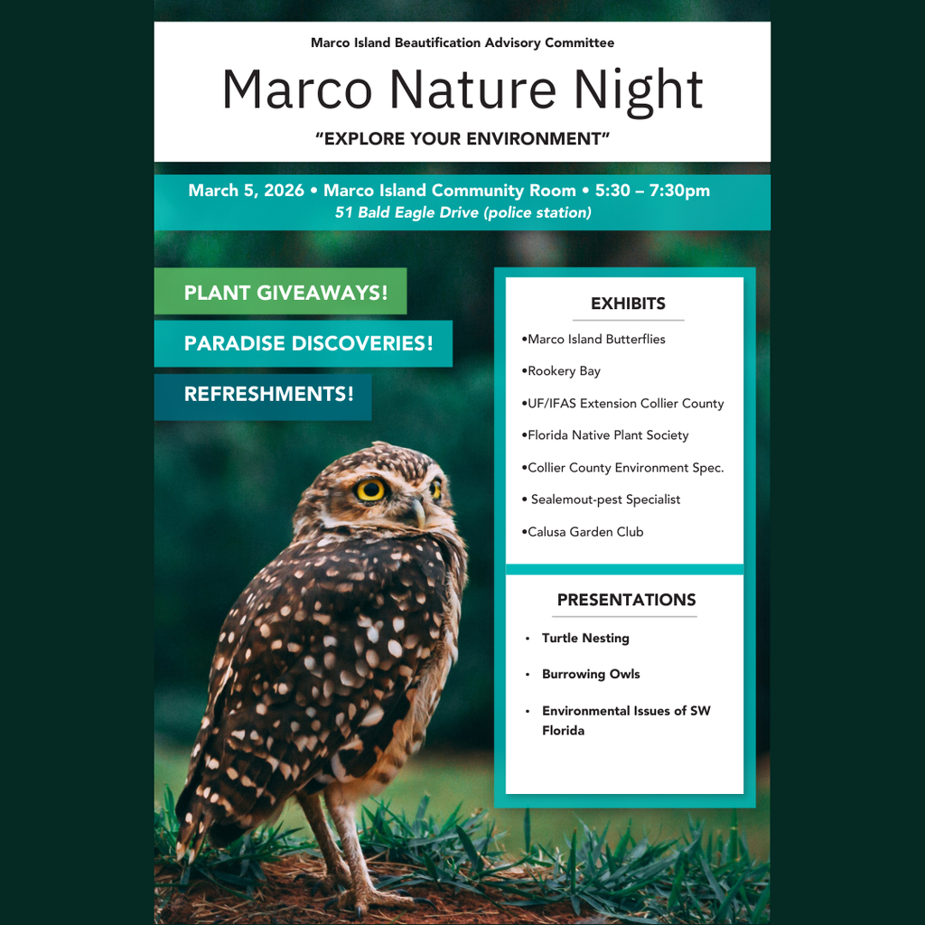 Untitled design - 2026-02-18T142115