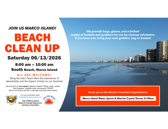 a flyer for a beach cleanup event june 13th at 8 am to 10pm