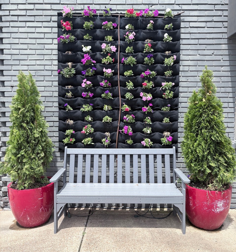 A gray bench sits in front of a gray brick wall with a black vertical planter filled with pink, purple, and white flowers. Two tall green shrubs in red planters frame the bench. 