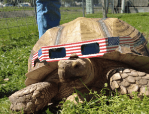Preparing for the Solar Eclipse
