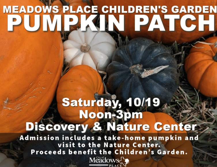 Meadows Place Children’s Garden Pumpkin Patch 2024