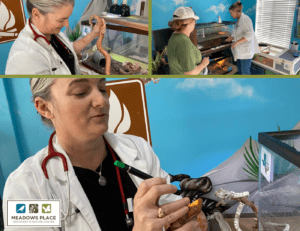 Nature Center Animals get a Visit from the Vet