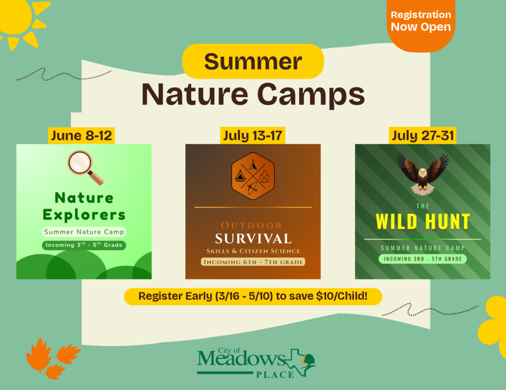 summer camps