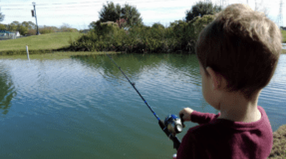 Rainbow Trout Have Arrived in Meadows Place