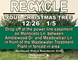 Christmas Tree Recycling 2024