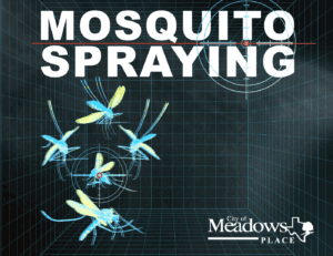 mosquito spraying