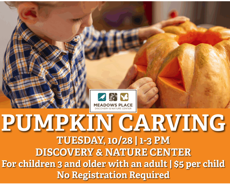 Pumpkin Carving at the Discovery & Nature Center