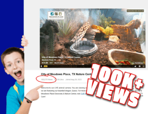 Queso Cam Reaches Over 100,000 Views!