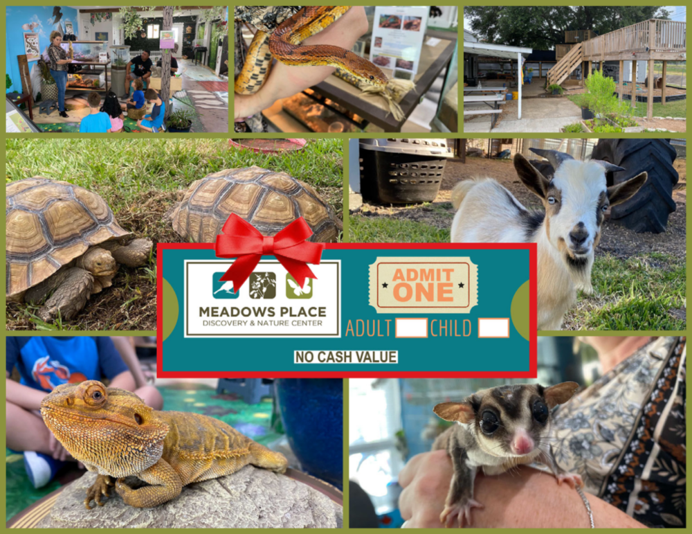 Gift Certificates Available for Discovery and Nature Center