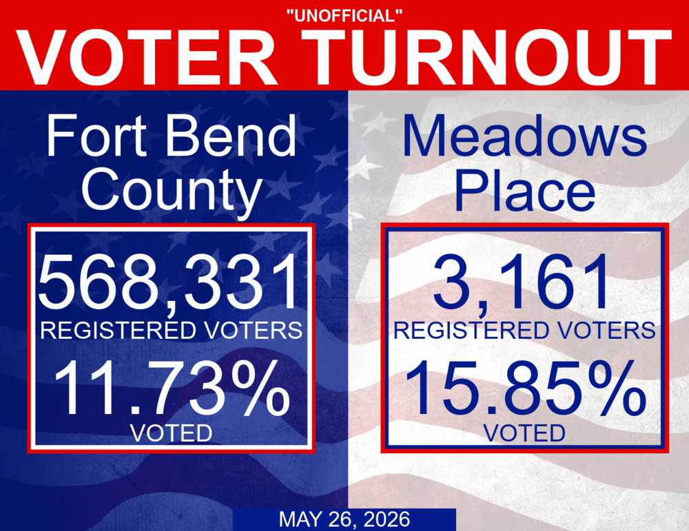 voter turnout information