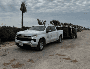 Surfside Christmas Tree Recycling 2025