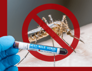 Positive West Nile Case in Fort Bend County