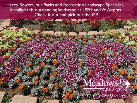 Spring has Sprung in Meadows Place