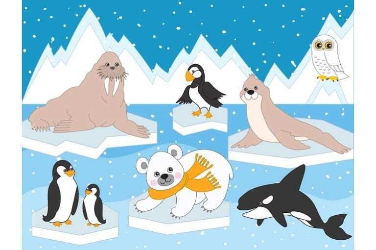artic animals drawing