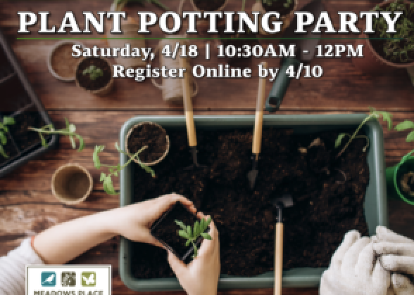 Plant Potting Party