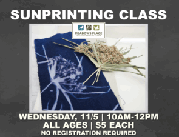 Sunprinting Class at the Discovery & Nature Center