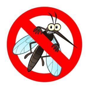 Mosquito Spraying
