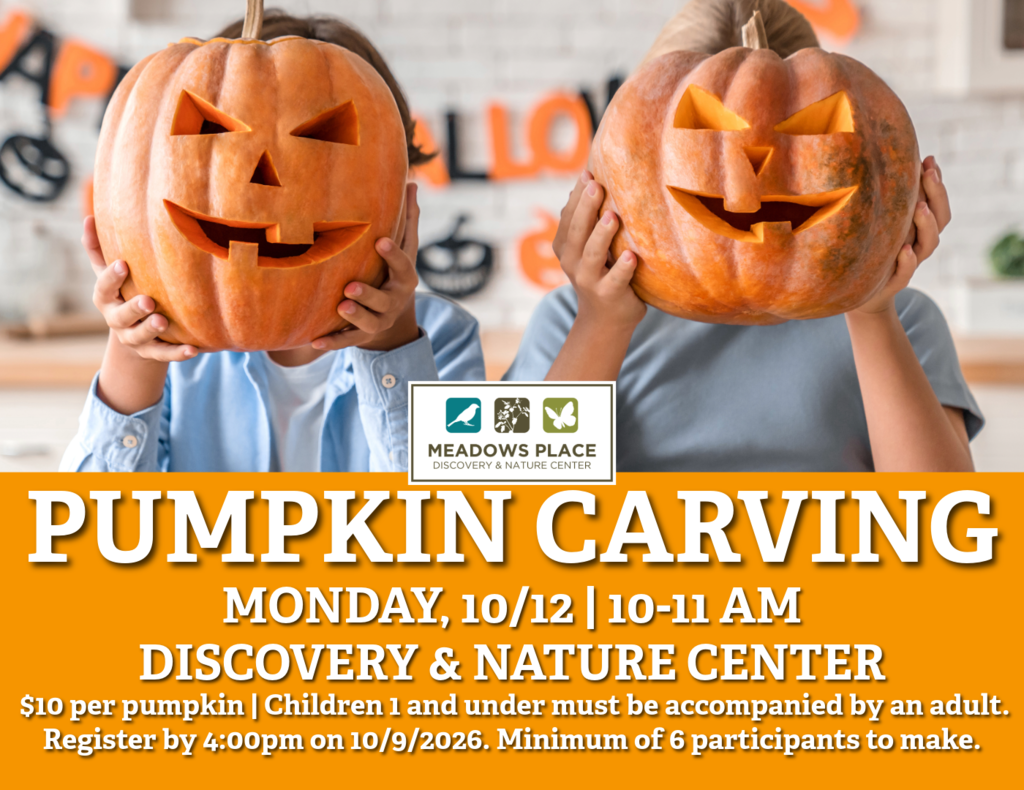 Two children hold carved jack o’ lanterns in front of their faces. The graphic promotes a pumpkin carving activity on Monday, October 12, from 10 to 11 a.m. at the Discovery & Nature Center.