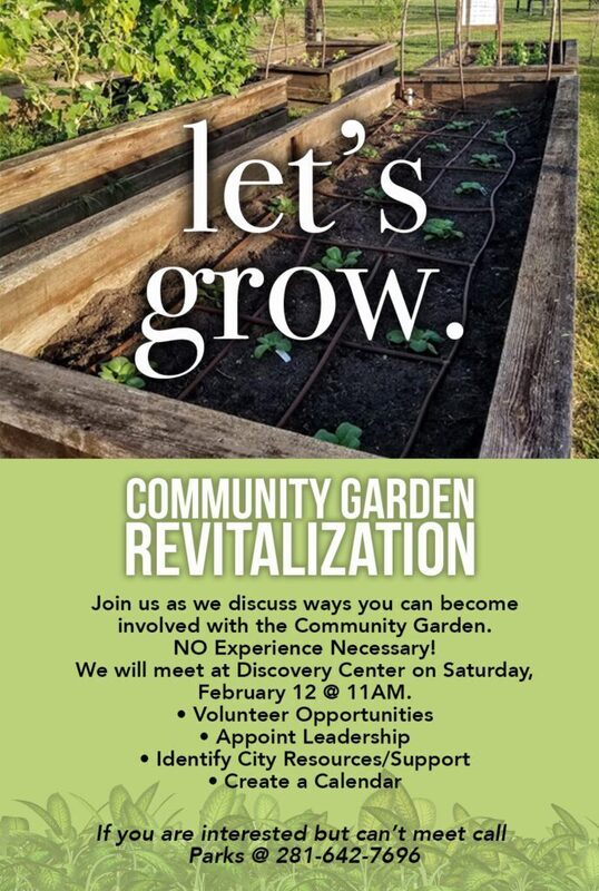 Community Garden In Transition