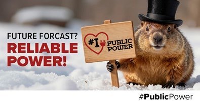 Phil the groundhog holding a public power sign