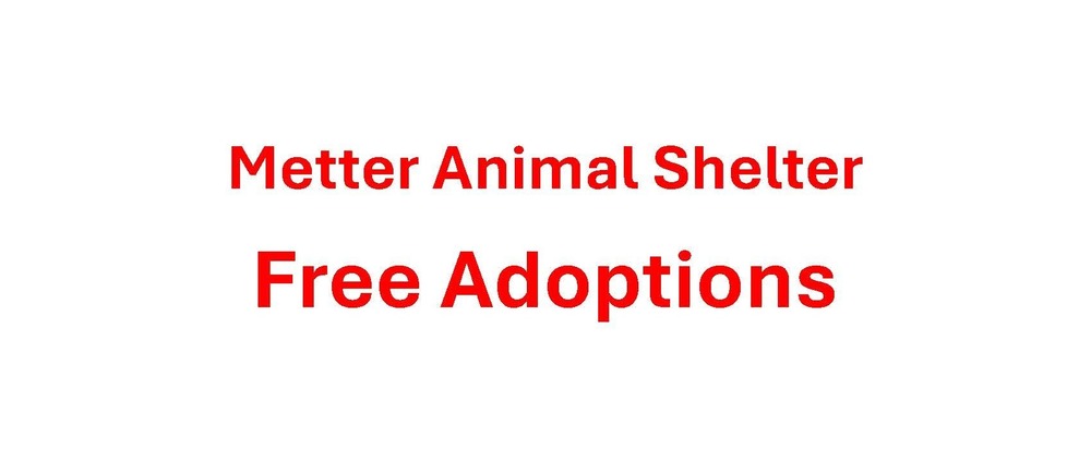 Animal Shelter