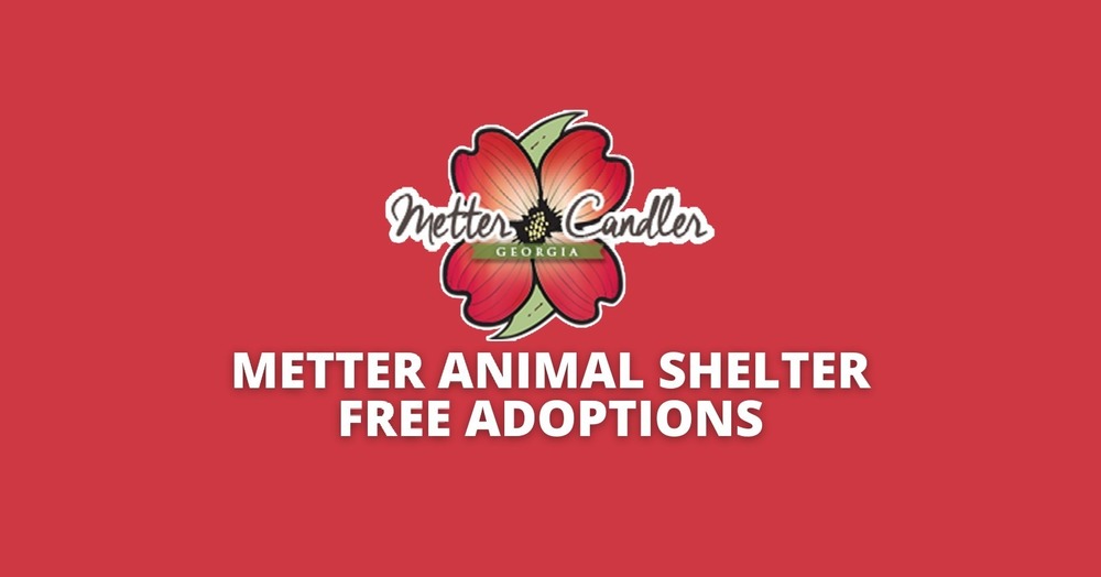 Animal Shelter