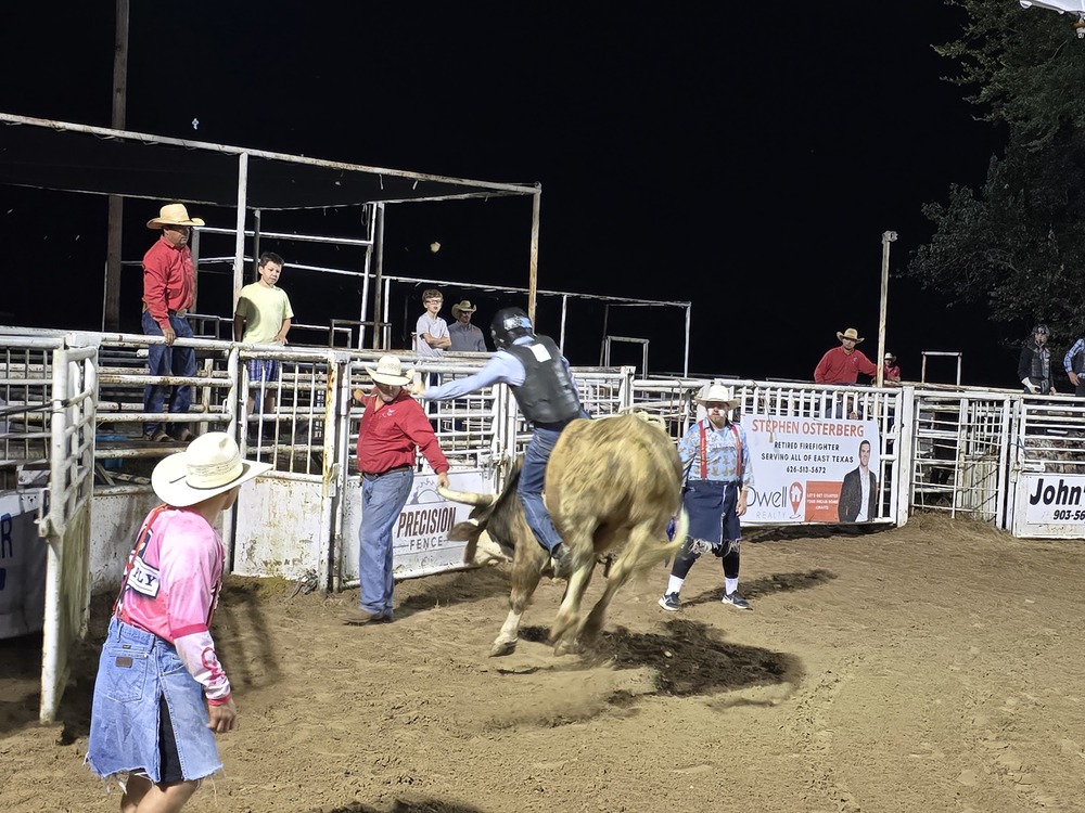Bull Rider
