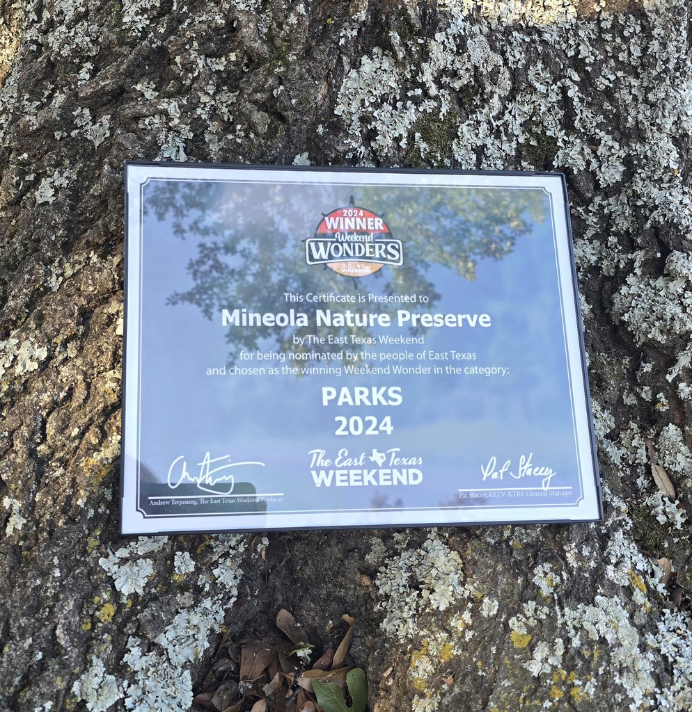 Best Park 2024 Certificate