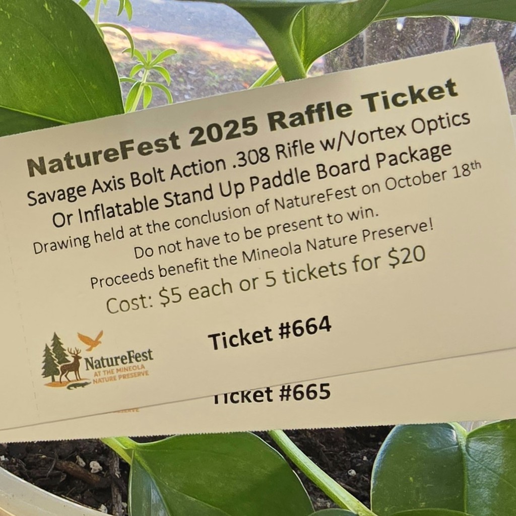 raffle tickets 