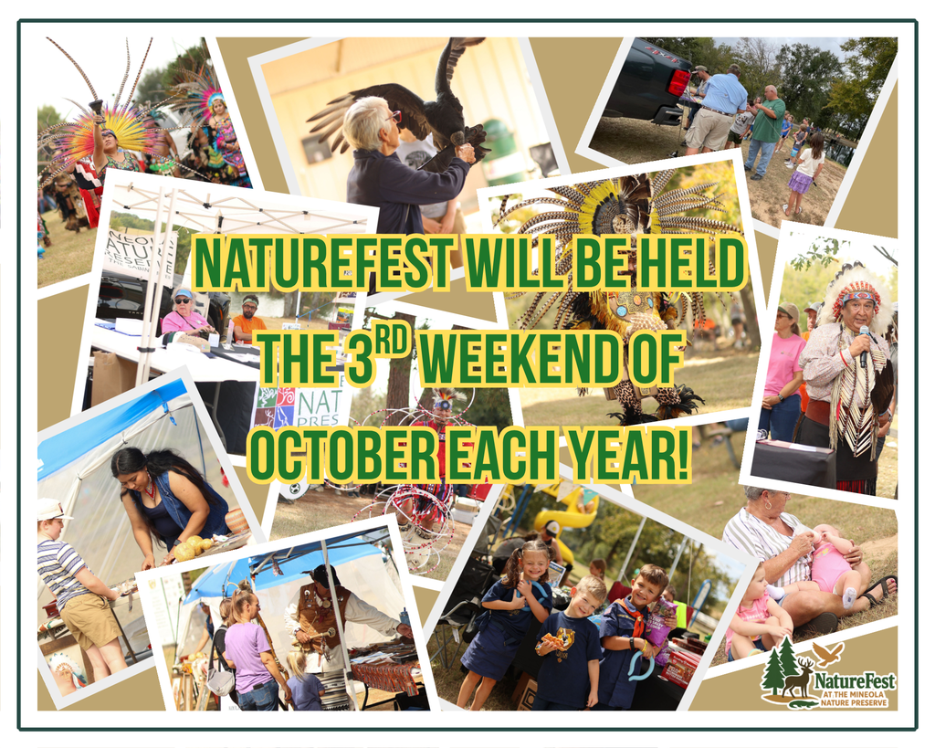 NatureFest Flyer