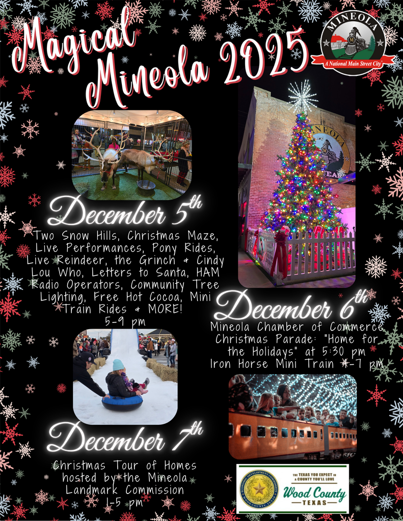 Magical Mineola Flyer