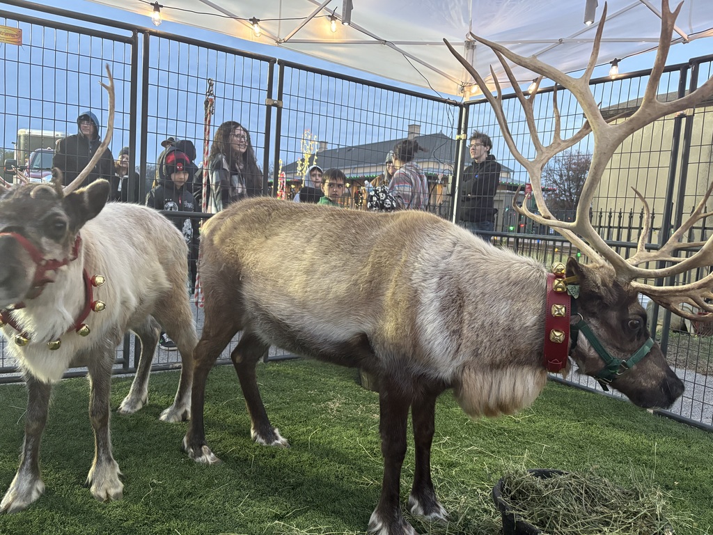 Magical Mineola 2025