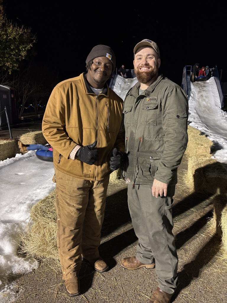 Magical Mineola 2025