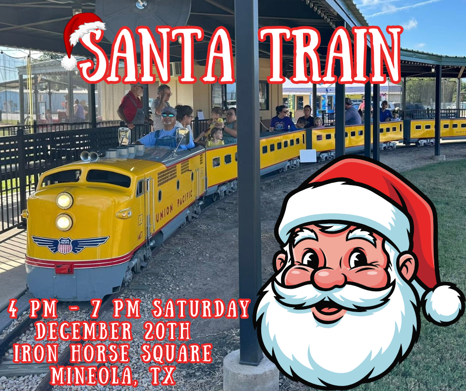 Santa Mini Train Rides