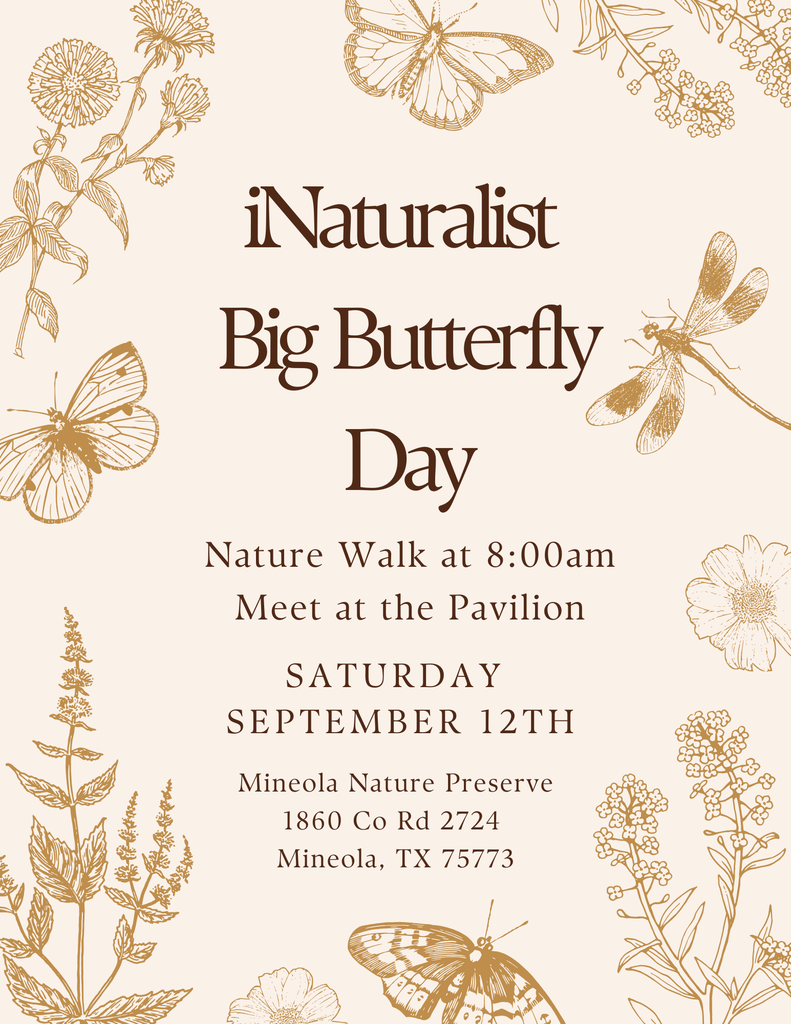 iNaturalist Big Butterfly Day Nature Walk Flyer