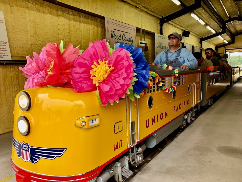 Fiesta Train