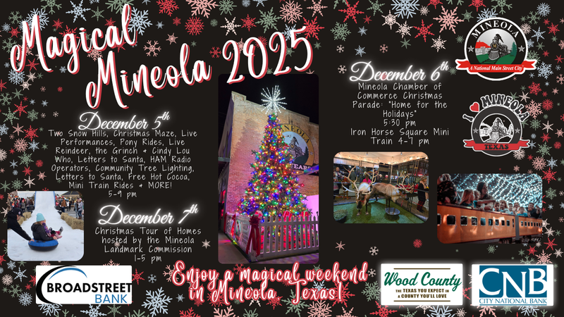 Magical Mineola Flyer