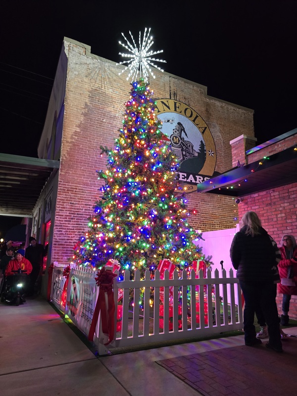 Community Christmas Tree