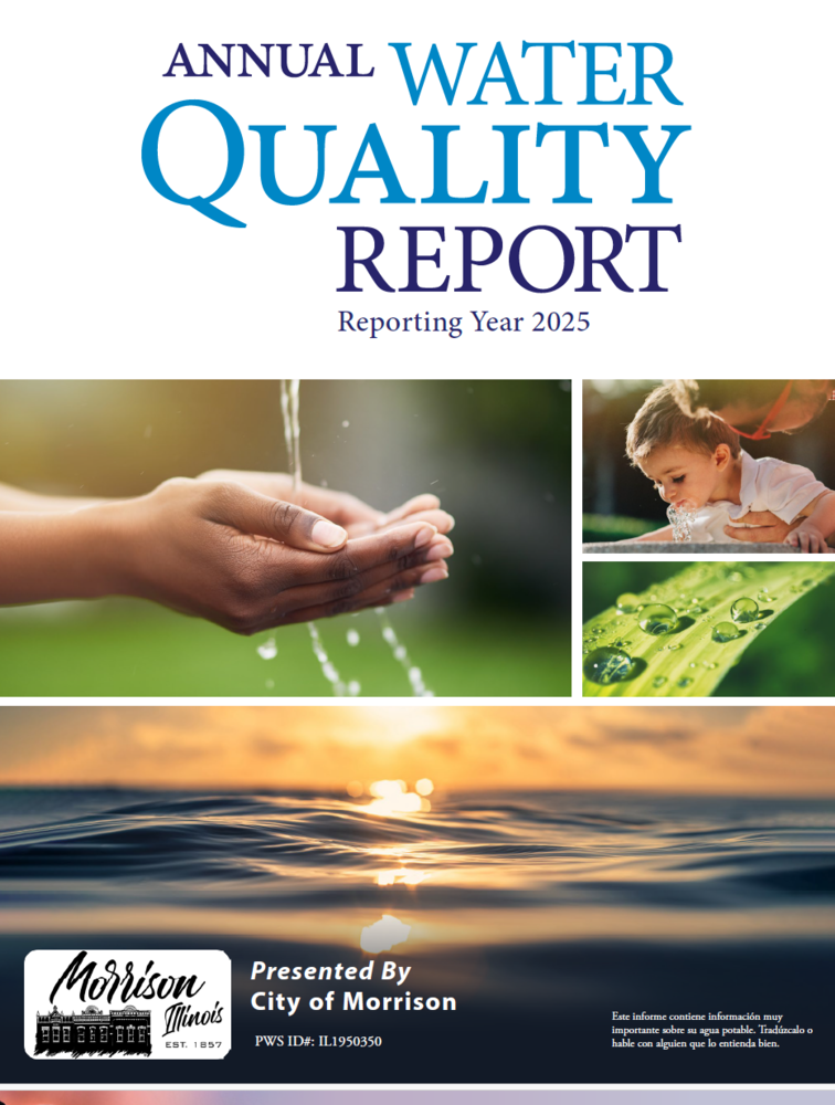 Water Quality Report 2025