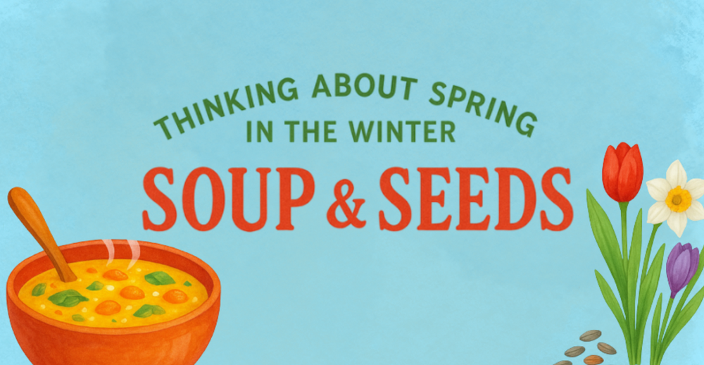 Thinking About Spring in the Winter. Soups and Seeds.