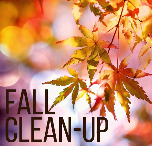 The words  "Fall Clean-Up" with autumn leaves in the background