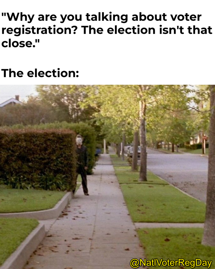 voter