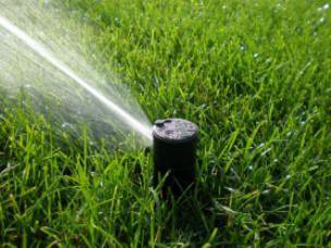 Sprinkler Head