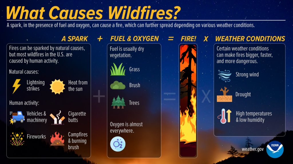 What causes wildfires? A spark, in the presence of fuel and oxygen, can cause a fire, which can further spread depending on various weather conditions. Fires can be sparked by natural causes, but most wildfires in the U.S. are caused by human activity. Natural causes include lightning strikes and heat from the sun. Human activity comes from cigarette butts, fireworks, campfires, burning brush, vehicles and machinery. Fuel is usually dry vegetation, such as grass brush, and trees. Oxygen is almost everywhere. Certain weather conditions can make fires bigger, faster, and more dangerous: strong wind, drought, high temperatures and low humidity.