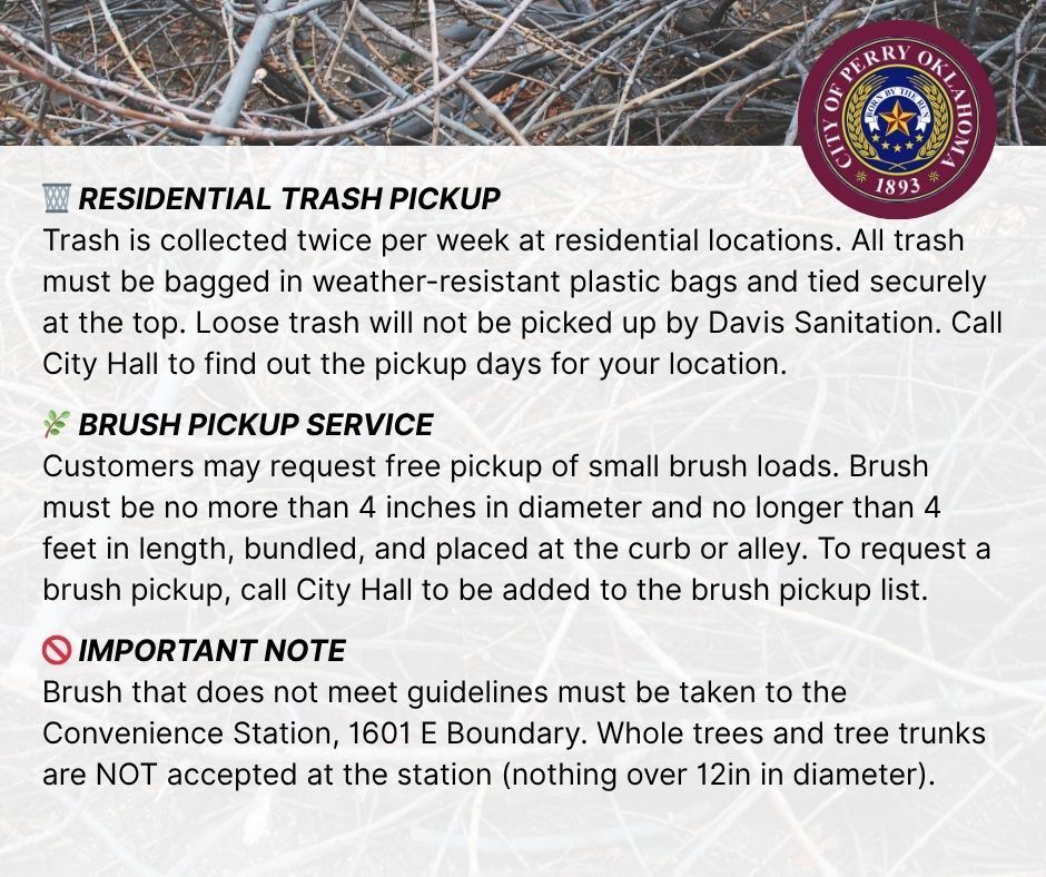 trash and brush image